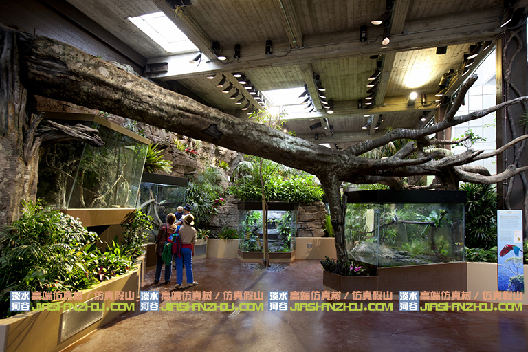 大型塑料仿真假樹.jpg 大型塑料仿真假樹