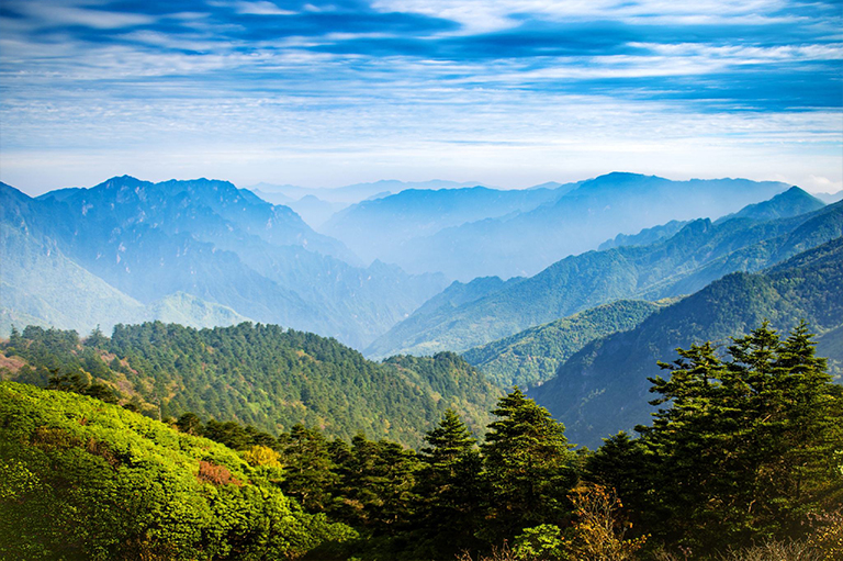 生物群落.jpg 生物群落