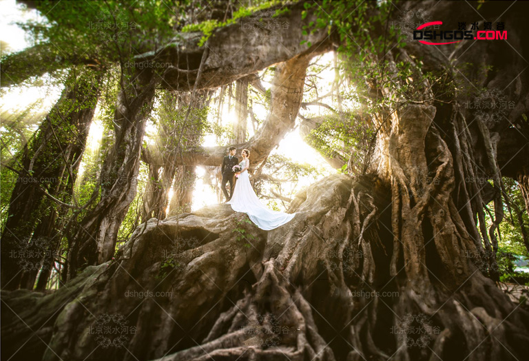 室內(nèi)大型仿真景觀樹.jpg 室內(nèi)大型仿真景觀樹