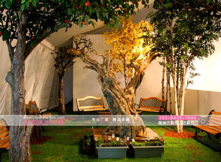 假樹圖片大全.jpg 假樹圖片大全