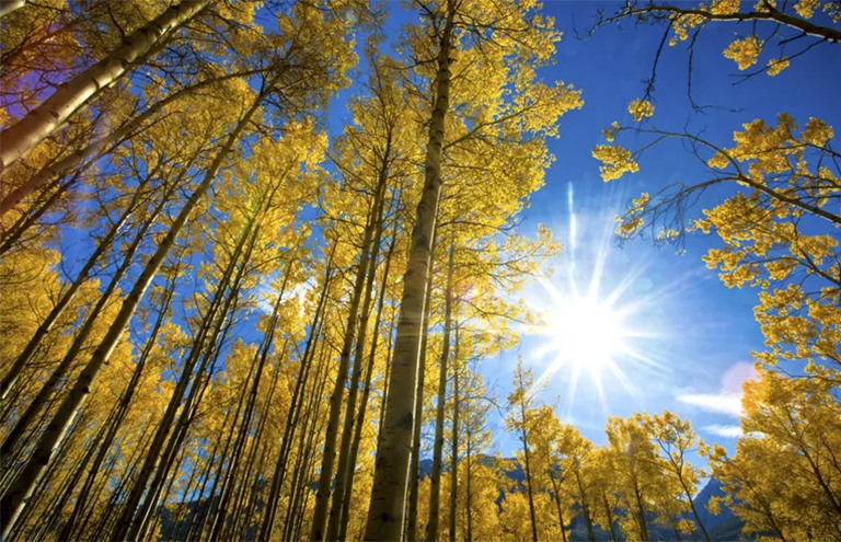 秋日天空.jpg 秋日天空