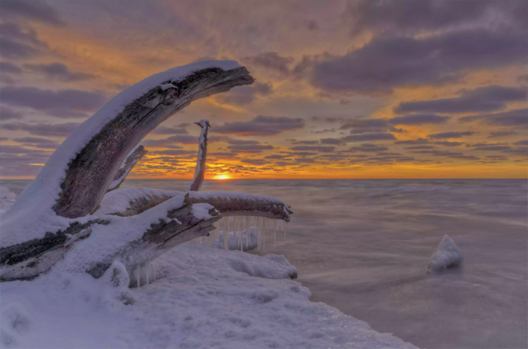 冰冷的湖岸框架上的死樹冉冉升起的太陽.jpg 冰冷的湖岸框架上的死樹冉冉升起的太陽