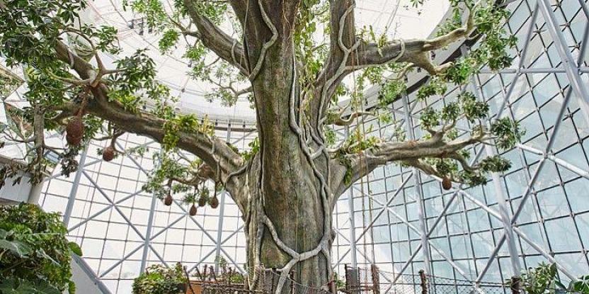 假樹(shù)造型圖片