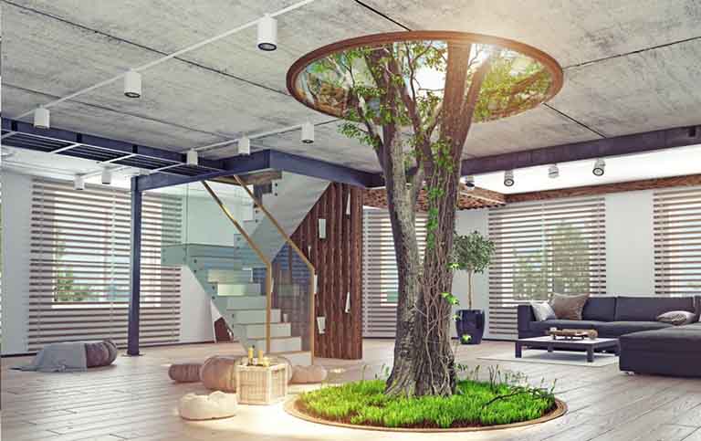 假樹(shù)造型圖片