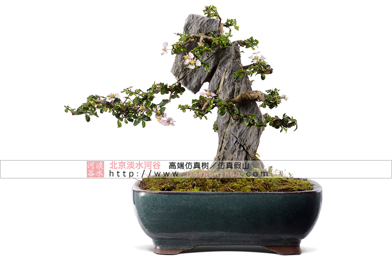 仿真樹.jpg 仿真樹