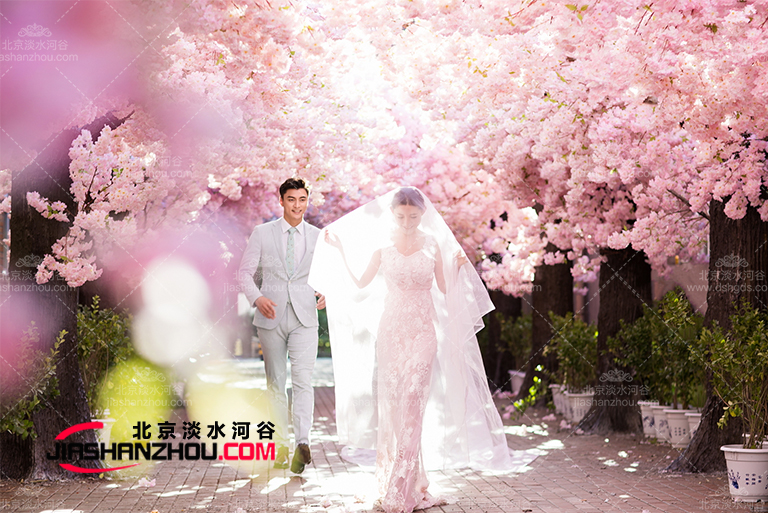 仿真樹(shù).jpg 仿真樹(shù)