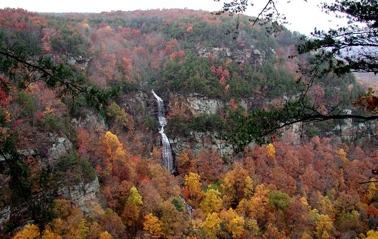 克蘭蘭峽谷州立公園，上升的小鹿