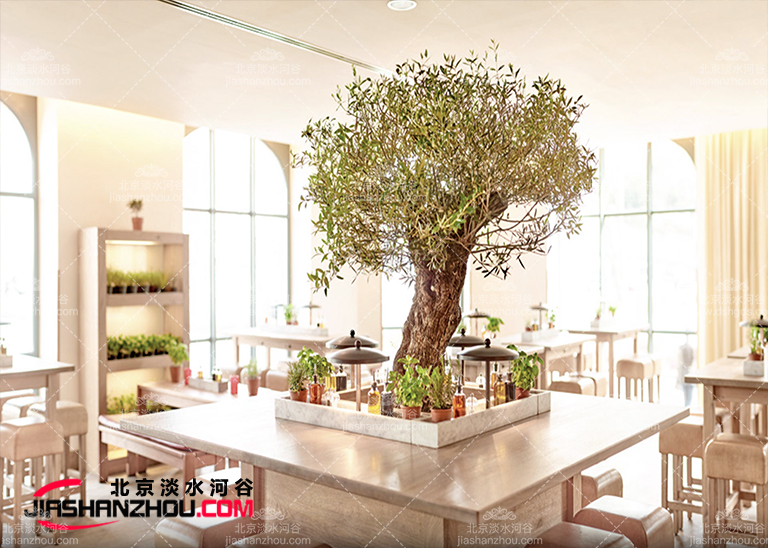 仿真樹(shù).jpg 仿真樹(shù)