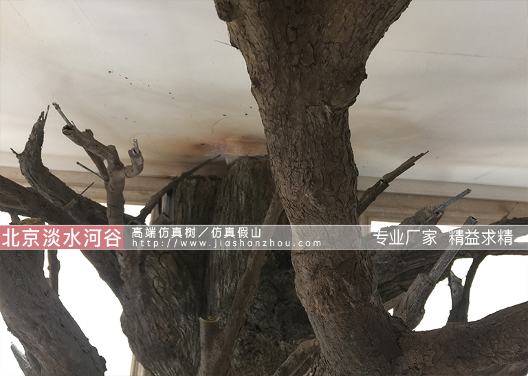 仿真樹(shù).jpg 仿真樹(shù)