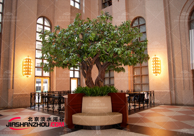 仿真樹(shù).jpg 仿真樹(shù)