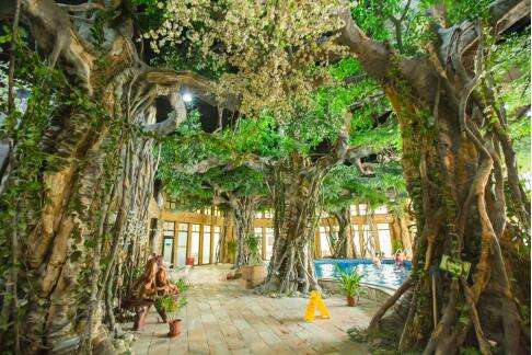 仿真樹(shù)工程.jpeg 仿真樹(shù)工程