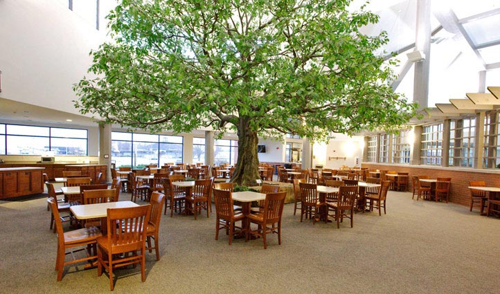 仿真假樹.jpg 仿真假樹