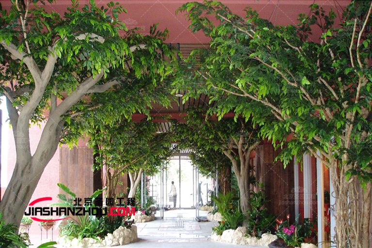 仿真樹(shù).jpg 仿真樹(shù)