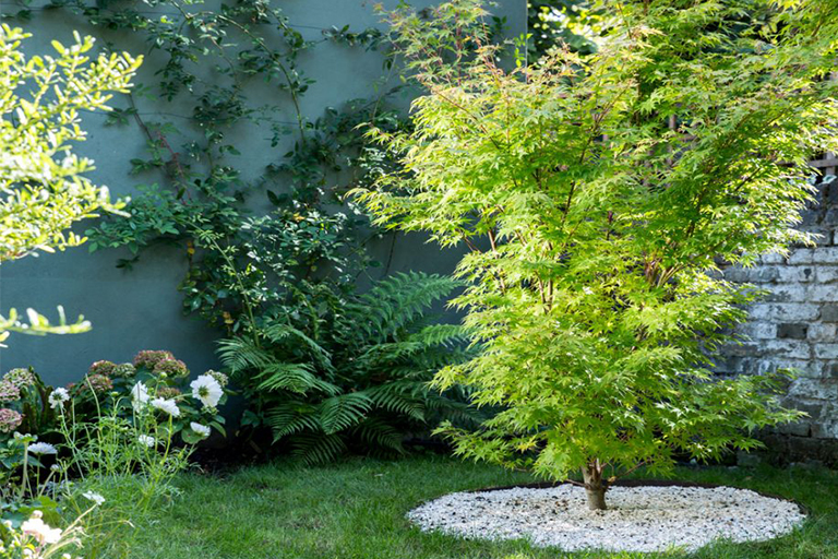 仿真樹.jpg 仿真樹