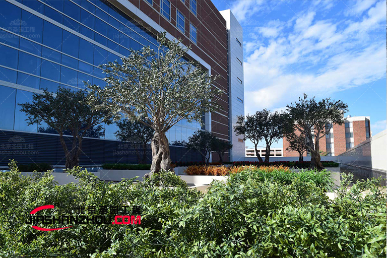 仿真樹.jpg 仿真樹