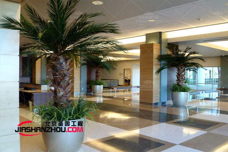 仿真樹(shù).jpg 仿真樹(shù)