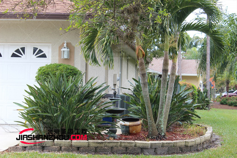 仿真樹(shù).jpg 仿真樹(shù)