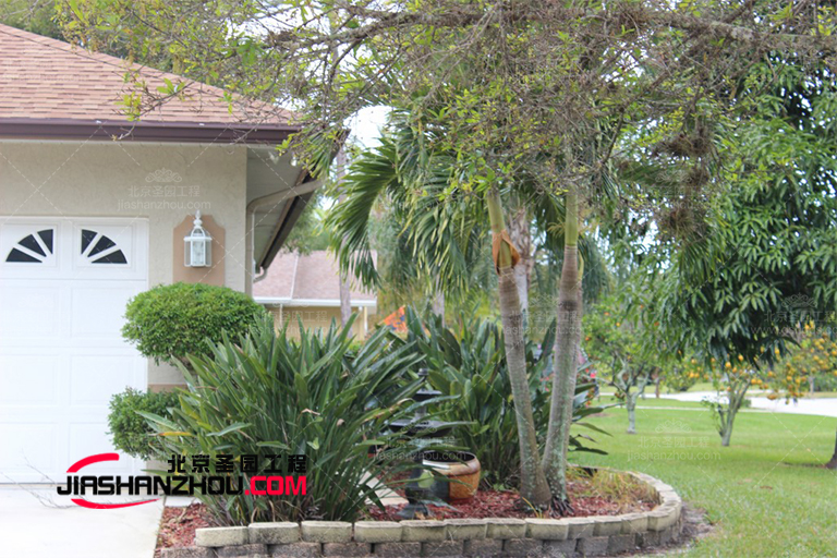 仿真樹(shù).jpg 仿真樹(shù)