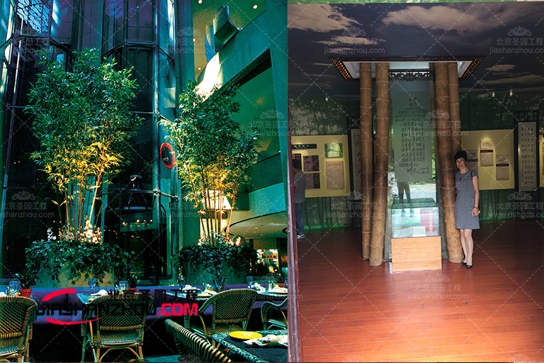 仿真樹.jpg 仿真樹