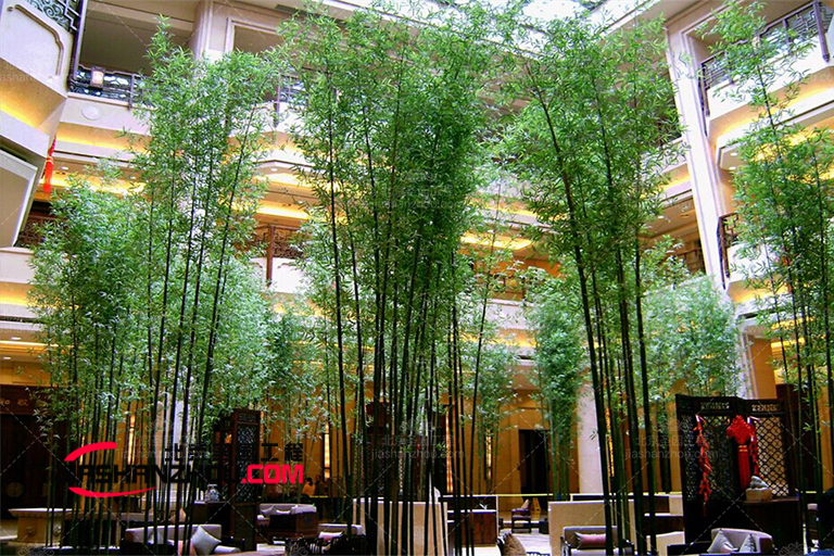 仿真樹(shù).jpg 仿真樹(shù)