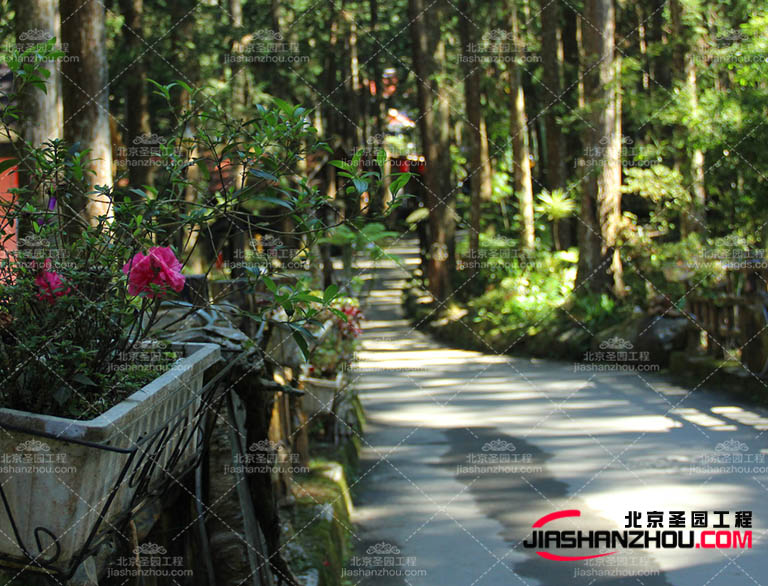 仿真樹(shù).jpg 仿真樹(shù)