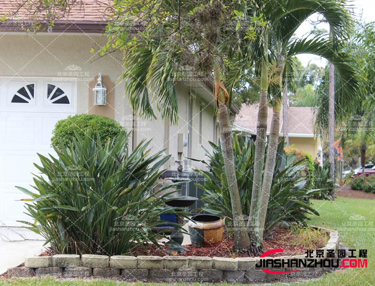 仿真樹(shù).jpg 仿真樹(shù)