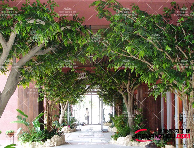 仿真樹大門.jpg 仿真樹大門