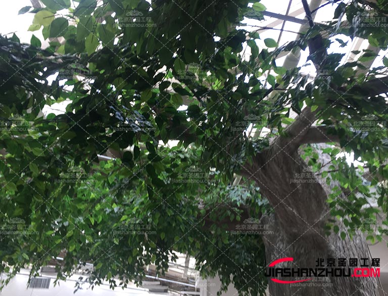 仿真樹.jpg 仿真樹