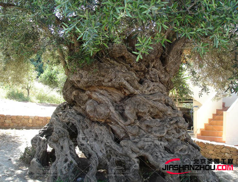 仿真樹.jpg 仿真樹