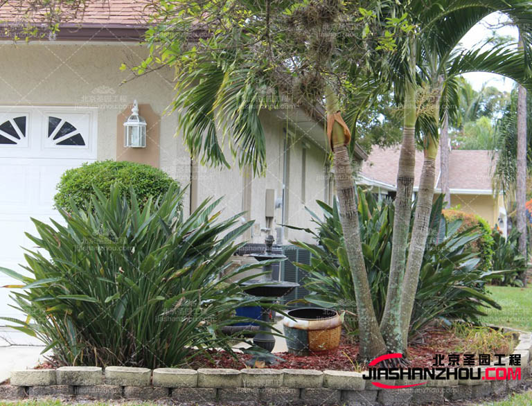 仿真樹.jpg 仿真樹