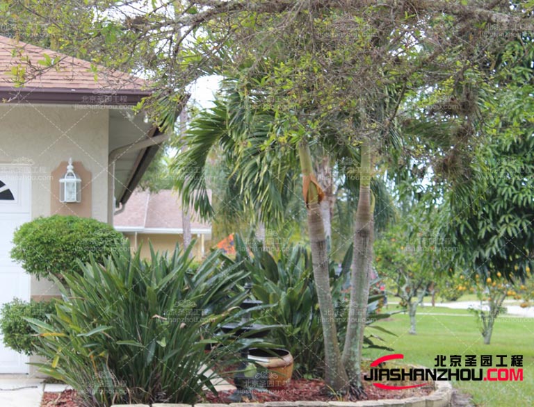 仿真樹.jpg 仿真樹