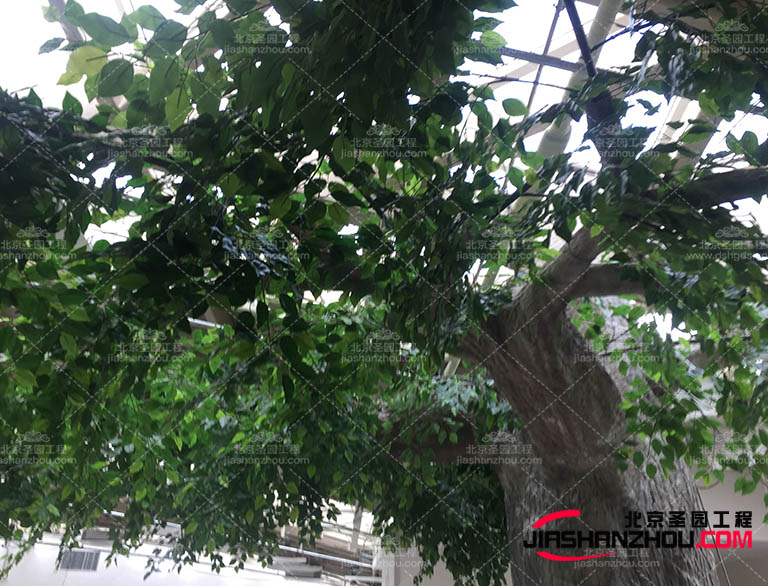 仿真樹.jpg 仿真樹