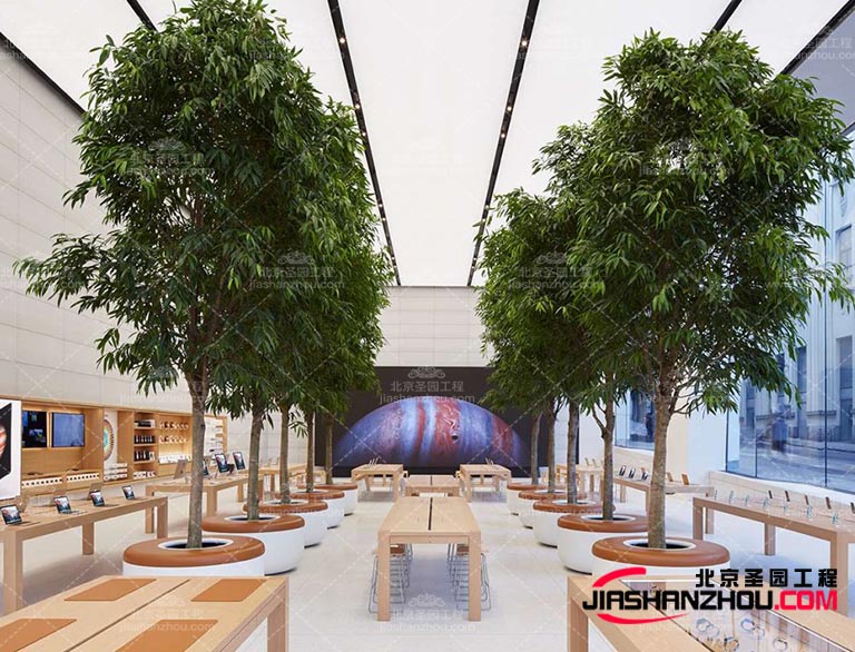 仿真樹(shù).jpg 仿真樹(shù)