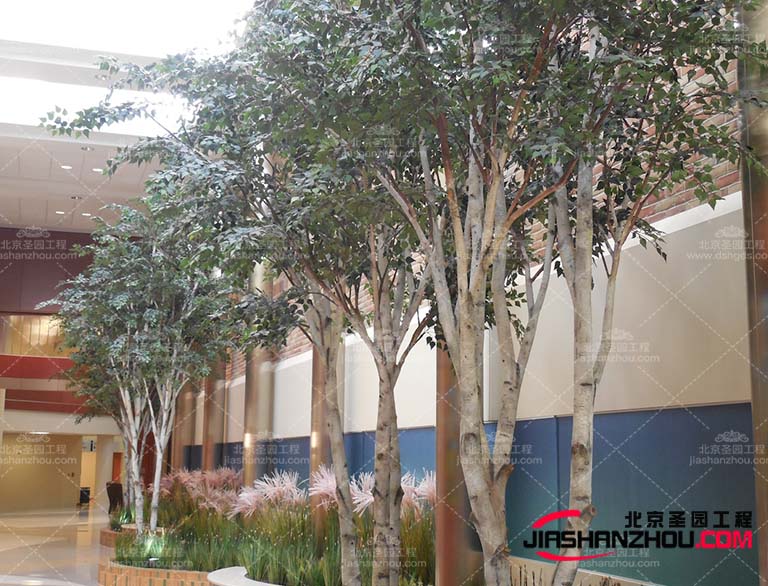 仿真樹(shù).jpg 仿真樹(shù)