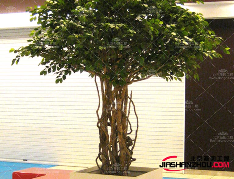 仿真樹.jpg 仿真樹