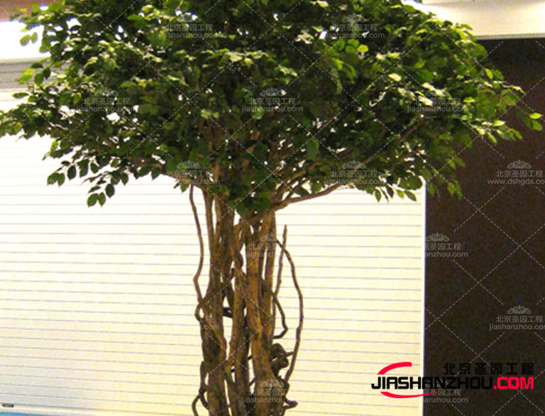 仿真樹.jpg 仿真樹