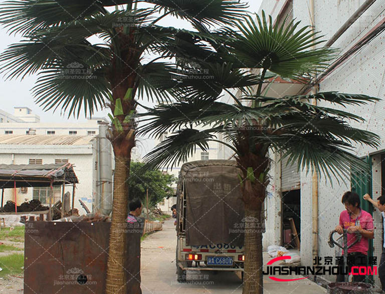 仿真樹(shù).jpg 仿真樹(shù)