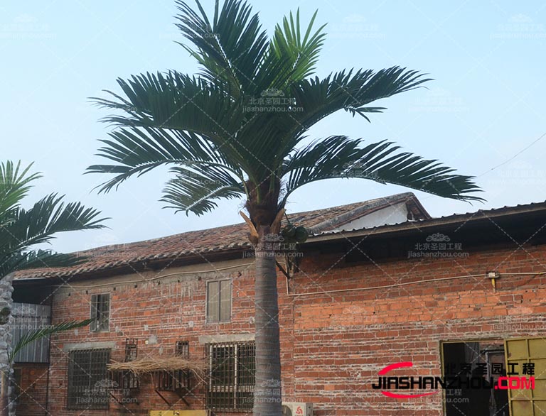 仿真樹(shù).jpg 仿真樹(shù)