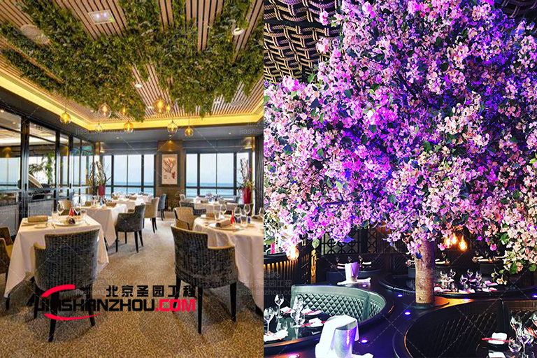 1745895490519173.jpg 1615252896281113.jpg