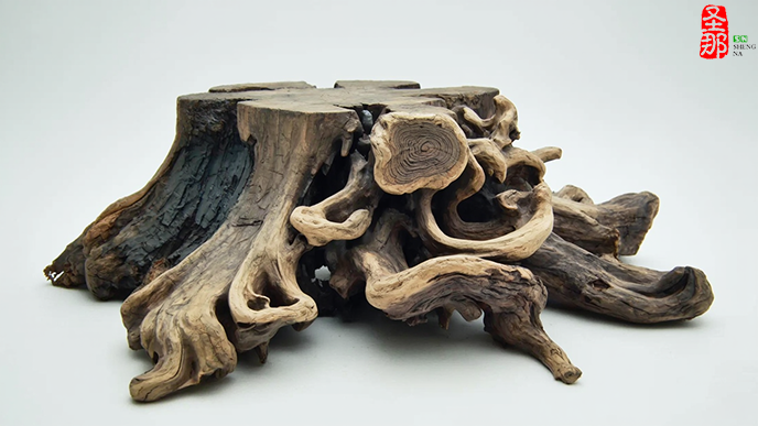 仿真古樹.png 仿真古樹